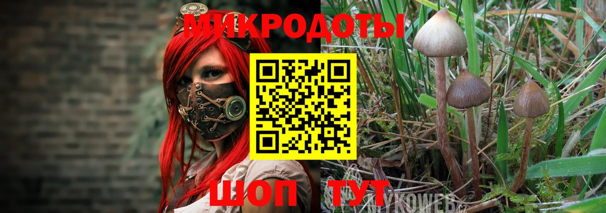 Псилоцибиновые грибы Magic Shrooms  Вход с VPN  Верхняя Салда  Галлюциногенные грибы мухоморы 